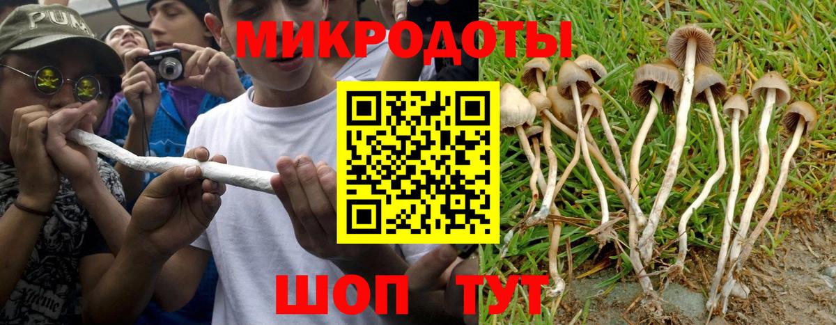 Псилоцибиновые грибы Cubensis  Вход с VPN  Коркино 